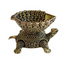Brass Tortoise Deepak