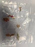 Deity Earings